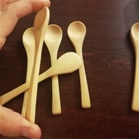 Miniatuur bamboe proeflepeltje keuken ijslepel
