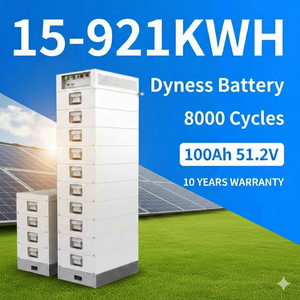 Módulo Dyness Stack 100 de 51.2v 100ah, Batería de Alto Voltaje Stack100 de 15kwh 20kwh 25kwh 30kwh 40kwh 50kwh para Sistemas de Almacenamiento de Energía - Product Image 1