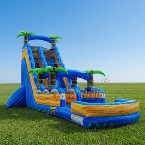 Toboggan aquatique commercial WINSUN, toboggan aquatique gonflable extérieur en PVC de 0,55 mm avec piscine - Product Image 1