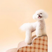 Accessoires pour chiens : Rampe d'escalier pour canapé-lit, antidérapante, en velours moderne, avec coussin en mousse à mémoire de forme, housse amovible et détachable, de luxe et mignonne