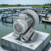 Industriële ringblazer 2,2 kW 380V 220V voor voedseldehydratatie en het drogen van fruit en groenten