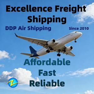 Servizio di Trasporto Aereo DDP Professionale con Monitoraggio del Carico da Pechino, <span class=keywords><strong>Shenzhen</strong></span>, Shanghai a Mumbai, Nuova <span class=keywords><strong>Delhi</strong></span>, India - Product Image 3