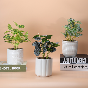 Mini oliviers artificiels en céramique émaillée <span class=keywords><strong>de</strong></span> haute qualité avec <span class=keywords><strong>pot</strong></span> en porcelaine <span class=keywords><strong>pour</strong></span> la décoration <span class=keywords><strong>de</strong></span> la maison, petite plante - Product Image 3