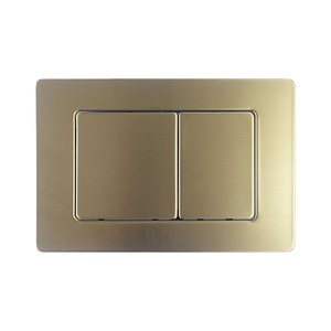 ช่องเก็บน้ำแบบมีช่องเก็บแปรงสีทองสำหรับห้องน้ำแผ่นสเตนเลสแบบกด - Product Image 1