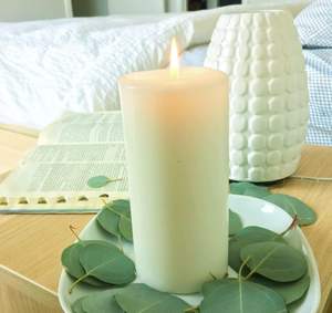 300 + adet kurutulmuş gerçek okaliptüs bırakır 100% doğal korunmuş toplu gümüş dolar okaliptüs yeşil biyobozunur konfeti bırakır - Product Image 2