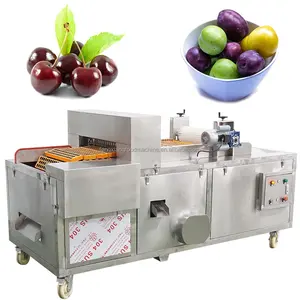 Snack food factory use Automatic fruit stone coring seed removing plum olive cherry pitting machine