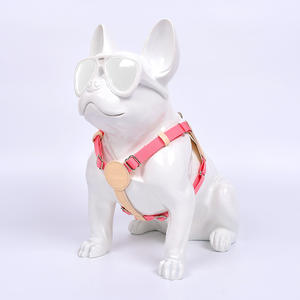 Tali dan kekang anjing mewah dapat diatur grosir tersedia manufaktur Daur Ulang populer kecil sedang dada hewan peliharaan berjalan di luar ruangan - Product Image 1