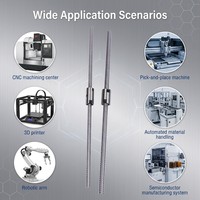 Vis à billes en acier CNC haute vitesse GS avec roulement à billes C7 de précision SFU1604 Gcr15, filetage fraisé, longueur 100 mm, garantie 1 an