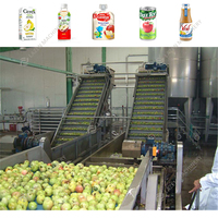 Op Maat Gemaakte Automatische Complete Appelsap Fruit Verwerkingslijn Plant Juicer Productielijn Appelsap Productiemachine