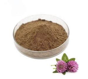 100% Natural Red Clover <strong>Extract</strong> Isoflavone <strong>Trifolium</strong> <strong>Pratense</strong> Red Clover <strong>Extract</strong> - Product Image 1