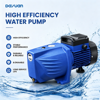 Pompe à jet auto-amorçante DAYUAN, pompe électrique de surpression d'eau pour maison et jardin, fournie par l'usine