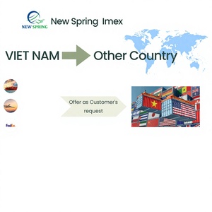 Servicio de Apoyo para Empresas en Fase de Inicio en Vietnam, Servicios de Outsourcing con Traducción Inglés-Vietnamita e Inspección de Calidad - Product Image 1