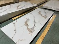 Revêtement de piscine en pierre corail, panneau composite bois-plastique imperméable et résistant aux UV pour usage domestique, commercial, gymnastique et de divertissement