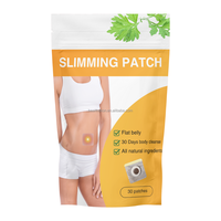 Meilleure Vente Patch Ventre Armoise 30 Jours Ingrédients Naturels Effet Rapide Ventre Plat