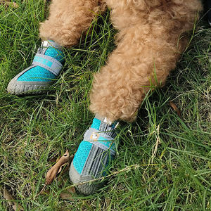 आनन्द वाटरप्रूफ लुभावनी एंटीस्किड पिल्ला स्नीकर टिकाऊ लेटेक्स पेसन चार सत्रों के लिए थोक - Product Image 4