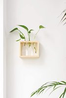 Dinding gantung ramah lingkungan pot tanaman penanam stasiun 3 tabung vas bunga Desktop terarium hidroponik pemotong Taman