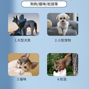 Lime à ongles électrique pour animaux de compagnie avec détecteur de ligne sanguine LED pour chiens, chats, chiots, petits et grands animaux, chargement USB, fonctionnement silencieux - Product Image 1