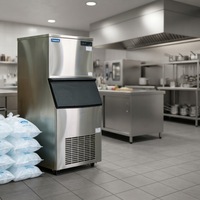 Machine à glaçons commerciale durable à refroidissement par air, production de blocs de glace de 500 kg, sans givre, en acier inoxydable 201, 5 étoiles, à haut rendement énergétique