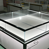 Vitrine de Luxe Haut de Gamme en Verre Trempé pour Bijoux, Meuble de Présentation de Magasin, Comptoir, Armoire, Support