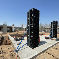 Panneau de coffrage modulaire en plastique écologique et recyclable, réduit les coûts de plâtrage secondaire, solution réutilisable haute résistance pour villa
