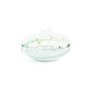 Capsule de champignon Ausreson Shiitake OEM Complément biologique pour soins du corps Capsules de champignon Shiitake - Product Image 2