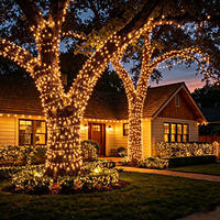 Bestseller 110V IP67 Wasserdichte Warmweiße LED-Gummilichterkette 10M 100LED für Weihnachtsbäume