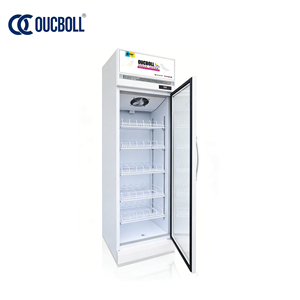 <span class=keywords><strong>Meilleur</strong></span> <span class=keywords><strong>Choix</strong></span> : Congélateur Vitrine à Porte Simple de Qualité Commerciale pour Stockage Alimentaire et Présentation Élégante des Produits - Product Image 6
