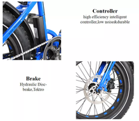Vélo électrique 20 pouces de haute qualité avec vélo de partage électrique bon marché/vélo électrique pliant E Bike/mini vélo de ville électrique à partager