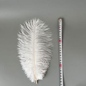 Plume blanche 25-30 cm (10-12 pouces) bricolage coloré <span class=keywords><strong>moelleux</strong></span> petite plume d'autruche décorative à vendre <span class=keywords><strong>pas</strong></span> <span class=keywords><strong>cher</strong></span> - Product Image 2