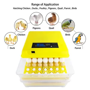 112 Eggs Mini France Chicken For Sale Philippine Lovebird Cheap Price Capacity Automatic 10000 Egg Incubator In Korea