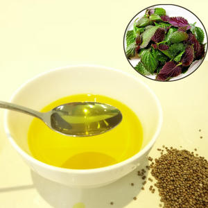 Frutescens <span class=keywords><strong>Basilic</strong></span> Purple Frutescens Seed Perila Fructus Perillae Perilla Seeds Perilla Leaf Powder Extract Oil - Product Image 1
