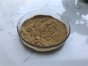 Cung cấp Nhà Máy nhân sâm đỏ chiết xuất từ rễ bột 5% ~ 80% ginsenosides <span class=keywords><strong>Panax</strong></span> <span class=keywords><strong>Ginseng</strong></span> chiết xuất nhân sâm - Product Image 3