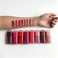 Teinte à lèvres liquide en marque blanche, vente en gros, teinte à lèvres waterproof, gloss brillant, maquillage hydratant pour les lèvres, fabricant OEM
