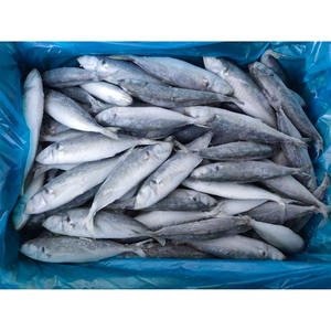 Caballa del Pacífico Congelada, Caballa IQF, Caballa del Pacífico a Bajo Precio, Caballa del Pacífico HGT al por Mayor - Product Image 2