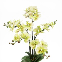 Bonne qualité 70cm de haut jaune fausse orchidée fleurs plante avec pot de ciment