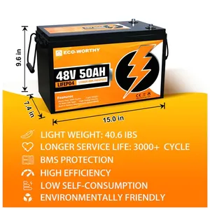 Umwelt freundliche 48V 50Ah Lithium LiFePO4 Deep Cycle Batterie mit längerer Lebensdauer Großhandel für Kommunikation stech nik und E-Bike