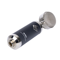 Microphone à condensateur professionnel BV563, microphone de studio à large diaphragme avec capsule interchangeable pour l'enregistrement vocal