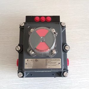 Capteur de position de vanne Topworx DXP-LH1GNES, contrôleur d'ouverture/fermeture - Product Image 2
