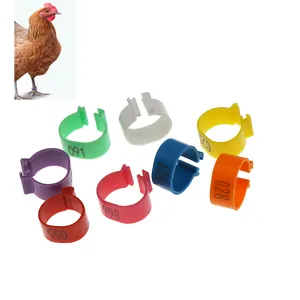 Geflügel-Anerkennung Vogel-Fußbein-Ringband Identifikationsring Huhn Ent Gans Wachtel Henne Fußring-Tags