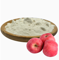 Premium Natuurlijk Gedroogd Appelpoeder Rijk aan Pectine Bulk Voedingsmiddelkwaliteit Fruit Grondstof voor Voedselverwerking