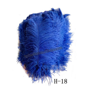 <span class=keywords><strong>Plumes</strong></span> <span class=keywords><strong>d</strong></span>'<span class=keywords><strong>autruche</strong></span> orange <span class=keywords><strong>60</strong></span> <span class=keywords><strong>cm</strong></span> 65cm, accessoires de <span class=keywords><strong>d</strong></span>écoration <span class=keywords><strong>d</strong></span>'intérieur, <span class=keywords><strong>plumes</strong></span> <span class=keywords><strong>d</strong></span>'<span class=keywords><strong>autruche</strong></span> pour fête - Product Image 4