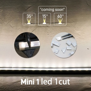 ไฟนีออน LED แบบยืดหยุ่น SMD6060 ขนาด 1610 DC24V ราคาโรงงาน ตัดได้ตามต้องการ สำหรับตกแต่งภายนอกอาคาร ใช้ติดผนัง - Product Image 3