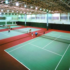 Surface intérieure et extérieure de plancher de sports utilisée par cour de badminton d'unité centrale de silicium - Product Image 2