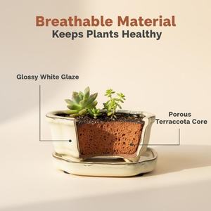 Maceta de Bonsái de Cerámica Yixing al por Mayor, Pequeña, Multiestilo, de Porcelana con Esmalte Azul, Duradera, Ecológica, para Jardín y Hogar - Product Image 4