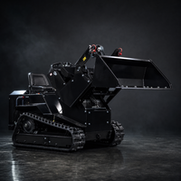 Mini-Kompaktlader T490 mit Raupenantrieb für Landschaftsbau, Gärtnerei und Hofarbeit, 250kg Nennlast, 2 Zylinder, EPA EURO5