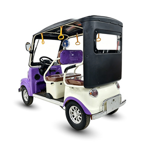 Voiturette de golf électrique vintage Holladay 4 places, frein à disque sur quatre roues, quadricycles électriques 1000W pour adultes - Product Image 4