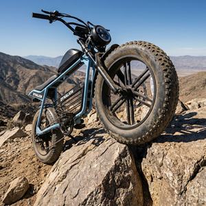 Bicicleta Eléctrica Todoterreno Resistente a Pinchazos con Neumáticos Gruesos de 20x4.0, Bicicleta Eléctrica Todoterreno de Alta Resistencia para Paseos por Senderos Forestales - Product Image 1