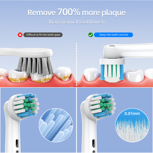 Cepillo de Dientes Eléctrico Rotatorio Sónico Bx11 Recargable, Económico, de Marca Privada, OEM/ODM, de Fábrica en Shenzhen, para Adultos - Product Image 4