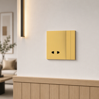 Prise murale électrique OEM B2B personnalisée en or avec interrupteur combiné, vente en gros, sécurité électrique