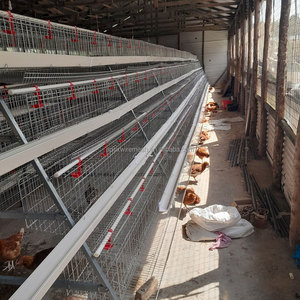 Trứng Gà Coop Động Vật Đặt Dây Lưới Gà Lồng Gà Gà Lớp 3/4 Tầng Chất Lượng Cao D Loại Pin Lồng Gia Cầm Trang Trại Thiết Kế - Product Image 4